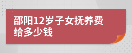 邵阳12岁子女抚养费给多少钱