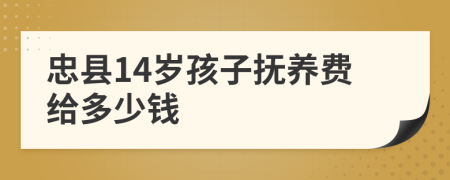 忠县14岁孩子抚养费给多少钱