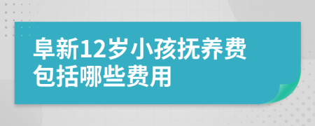 阜新12岁小孩抚养费包括哪些费用
