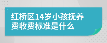 红桥区14岁小孩抚养费收费标准是什么