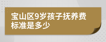 宝山区9岁孩子抚养费标准是多少