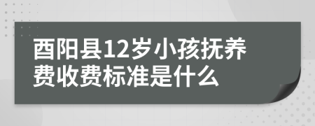 酉阳县12岁小孩抚养费收费标准是什么
