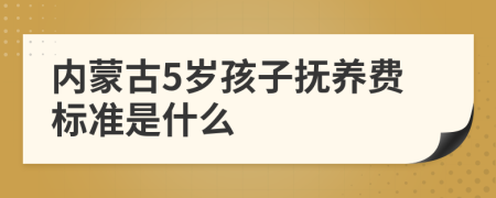 内蒙古5岁孩子抚养费标准是什么