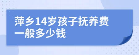 萍乡14岁孩子抚养费一般多少钱