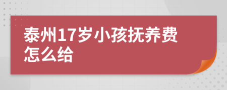 泰州17岁小孩抚养费怎么给