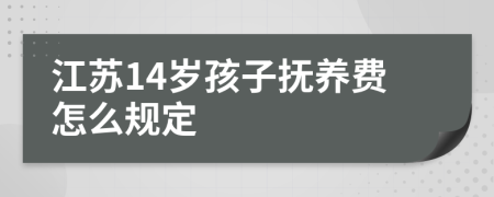 江苏14岁孩子抚养费怎么规定