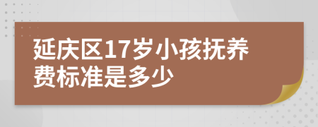 延庆区17岁小孩抚养费标准是多少