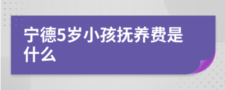 宁德5岁小孩抚养费是什么