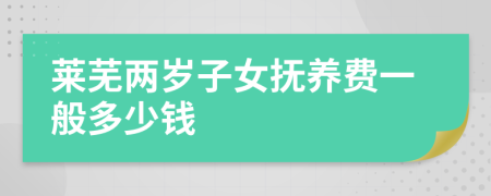 莱芜两岁子女抚养费一般多少钱