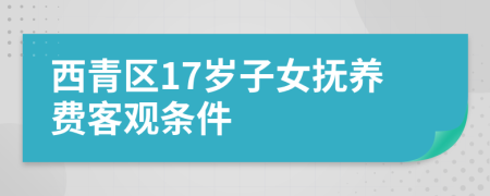 西青区17岁子女抚养费客观条件