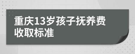 重庆13岁孩子抚养费收取标准