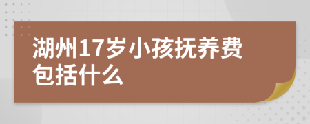 湖州17岁小孩抚养费包括什么