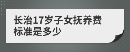 长治17岁子女抚养费标准是多少