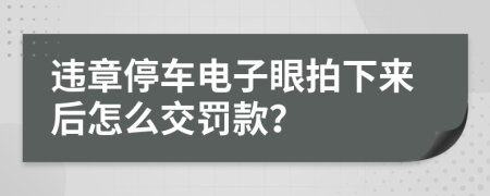 违章停车电子眼拍下来后怎么交罚款？