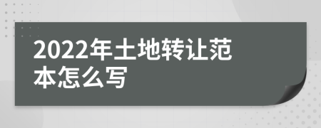 2022年土地转让范本怎么写