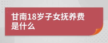 甘南18岁子女抚养费是什么