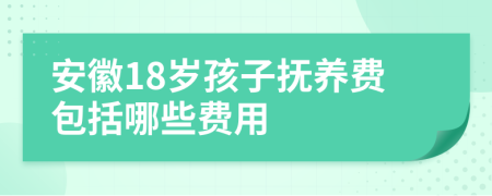 安徽18岁孩子抚养费包括哪些费用