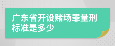 广东省开设赌场罪量刑标准是多少