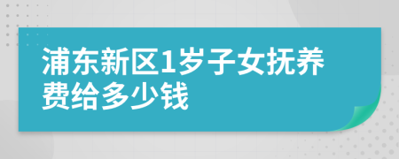 浦东新区1岁子女抚养费给多少钱
