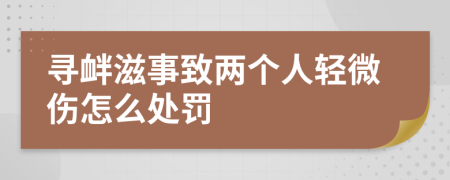 寻衅滋事致两个人轻微伤怎么处罚