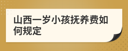 山西一岁小孩抚养费如何规定