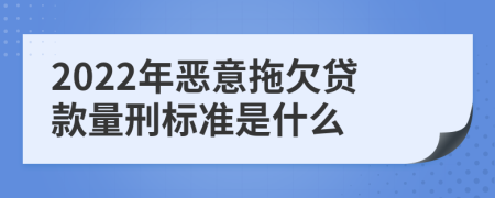 2022年恶意拖欠贷款量刑标准是什么