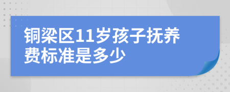 铜梁区11岁孩子抚养费标准是多少