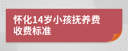 怀化14岁小孩抚养费收费标准