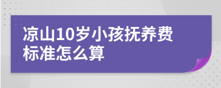 凉山10岁小孩抚养费标准怎么算