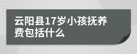 云阳县17岁小孩抚养费包括什么