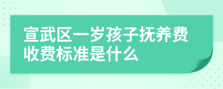 宣武区一岁孩子抚养费收费标准是什么