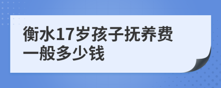 衡水17岁孩子抚养费一般多少钱