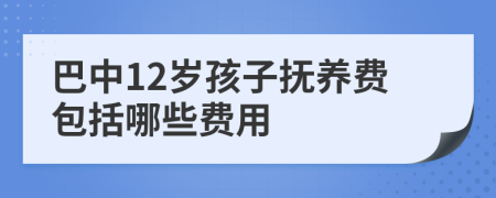 巴中12岁孩子抚养费包括哪些费用