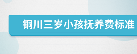 铜川三岁小孩抚养费标准