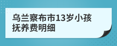 乌兰察布市13岁小孩抚养费明细