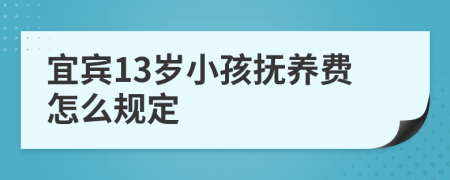 宜宾13岁小孩抚养费怎么规定