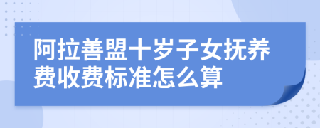 阿拉善盟十岁子女抚养费收费标准怎么算