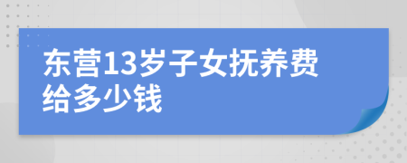 东营13岁子女抚养费给多少钱