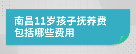 南昌11岁孩子抚养费包括哪些费用