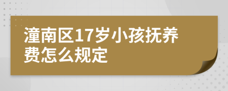 潼南区17岁小孩抚养费怎么规定