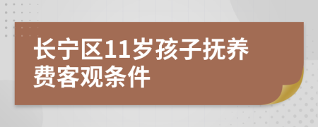 长宁区11岁孩子抚养费客观条件