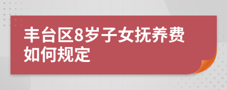 丰台区8岁子女抚养费如何规定