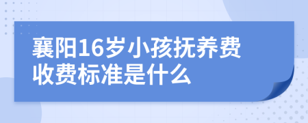 襄阳16岁小孩抚养费收费标准是什么