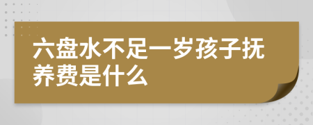 六盘水不足一岁孩子抚养费是什么