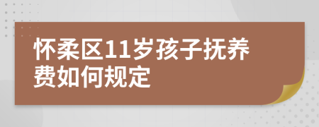 怀柔区11岁孩子抚养费如何规定