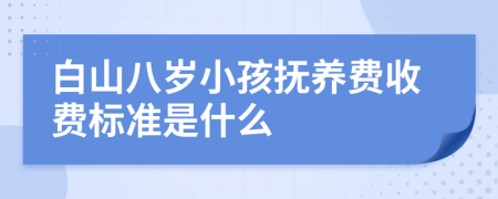 白山八岁小孩抚养费收费标准是什么