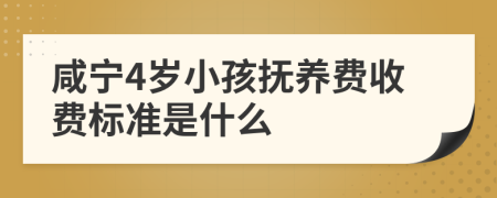 咸宁4岁小孩抚养费收费标准是什么