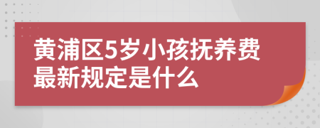 黄浦区5岁小孩抚养费最新规定是什么