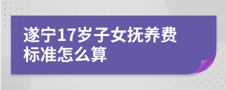 遂宁17岁子女抚养费标准怎么算