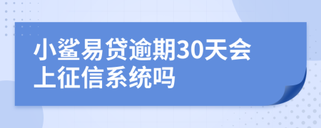 小鲨易贷逾期30天会上征信系统吗